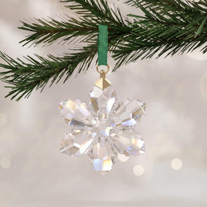 2026 annual edition snowflake hanging from a tree on a white shimmery background