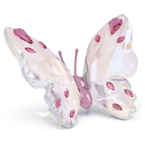 Idyllia Butterfly
