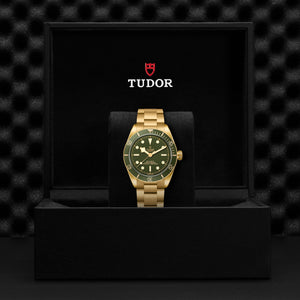TUDOR Black Bay 58 18K