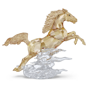 Asian Symbols Leaping Horse