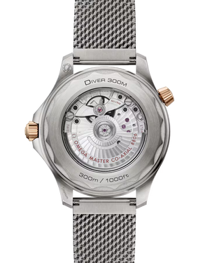 Seamaster Diver 300M 42MM