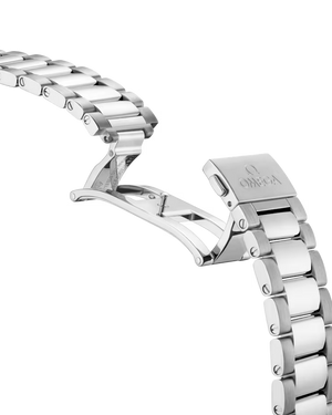 Seamaster Aqua Terra 150M 41 MM
