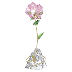 Florere Rose