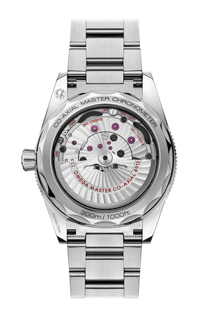 Seamaster 300 Co-Axial Master Chronometer 41MM