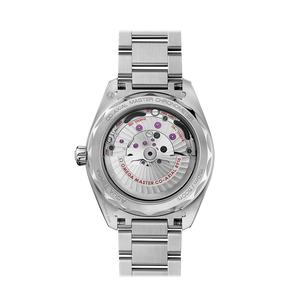 Seamaster Aqua Terra 150M Co-Axial Master Chronometer Small Seconds 41 MM