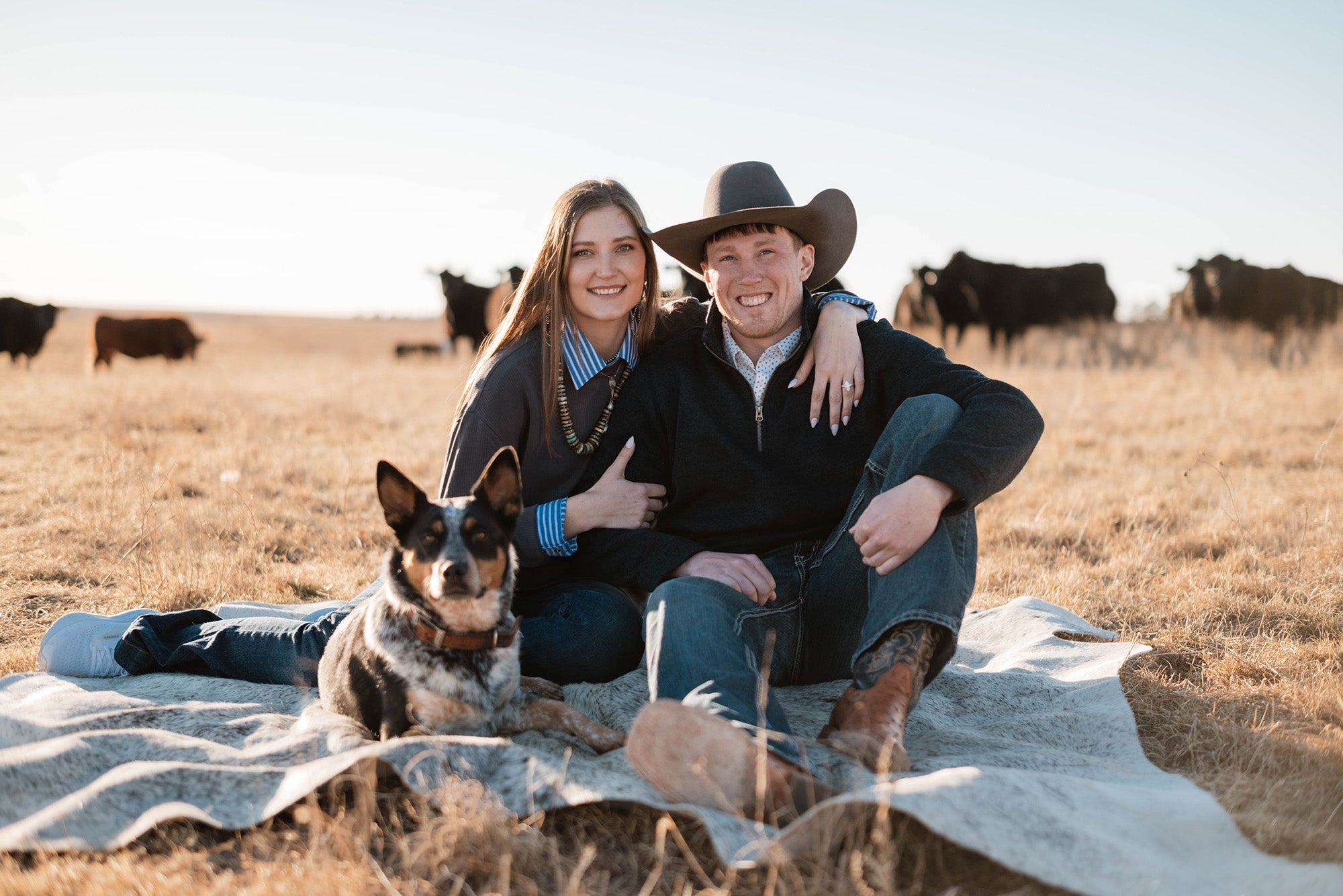 Engaged couple sitting on a blanket in a grassy field with their dog and grazing cattle, woman showing her engagement ring
