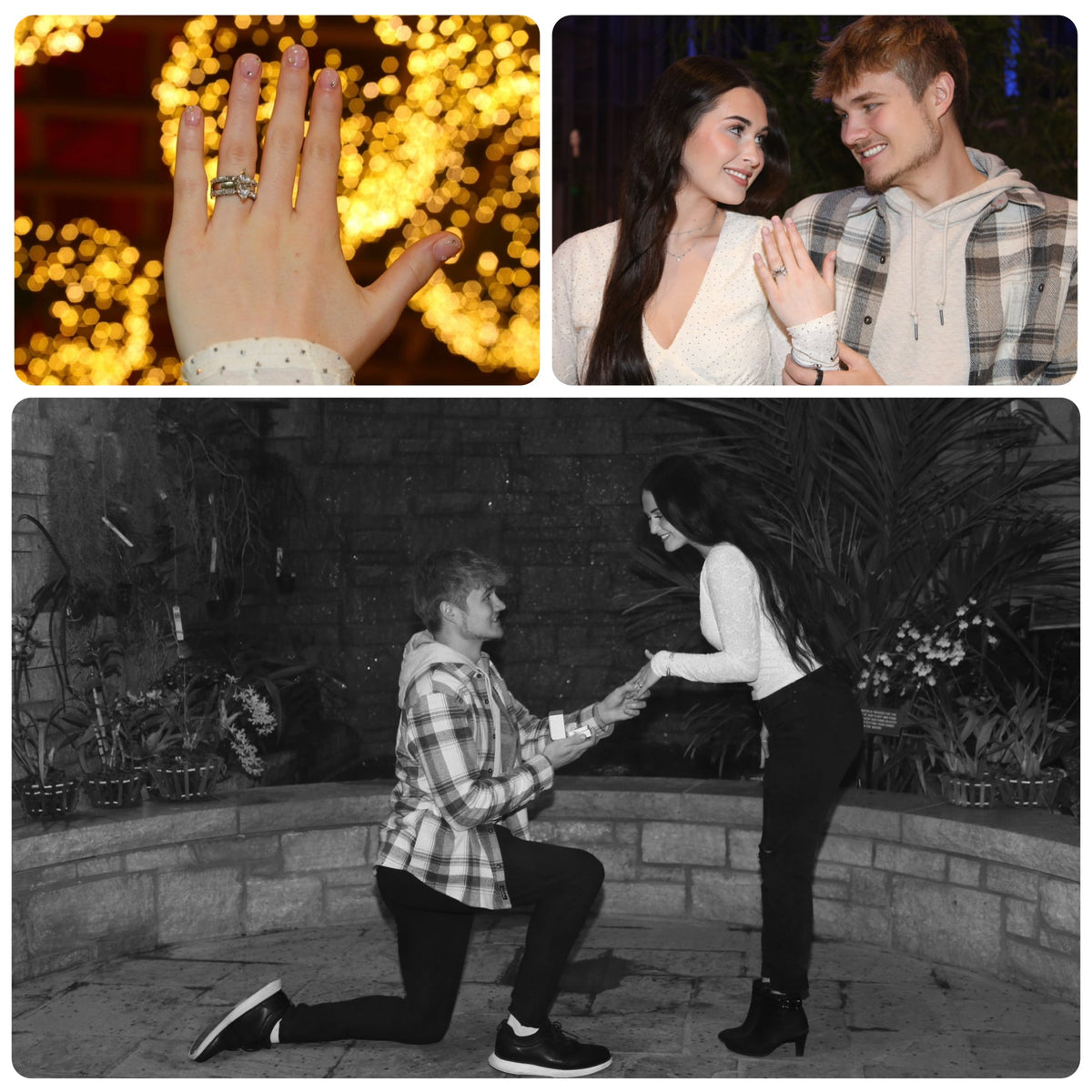 Carly & Aidan Proposal Story