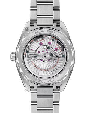 Seamaster Aqua Terra 150M 41 MM