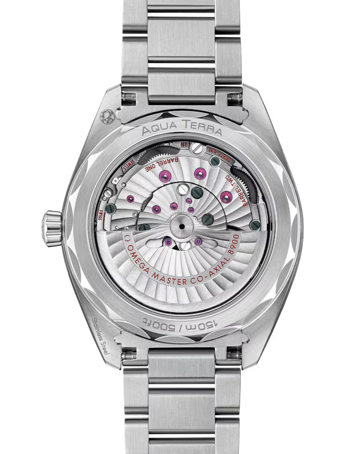 Seamaster Aqua Terra 150M 41 MM