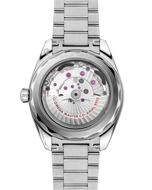 Seamaster Aqua Terra 150M Co-Axial Master Chronometer 41MM