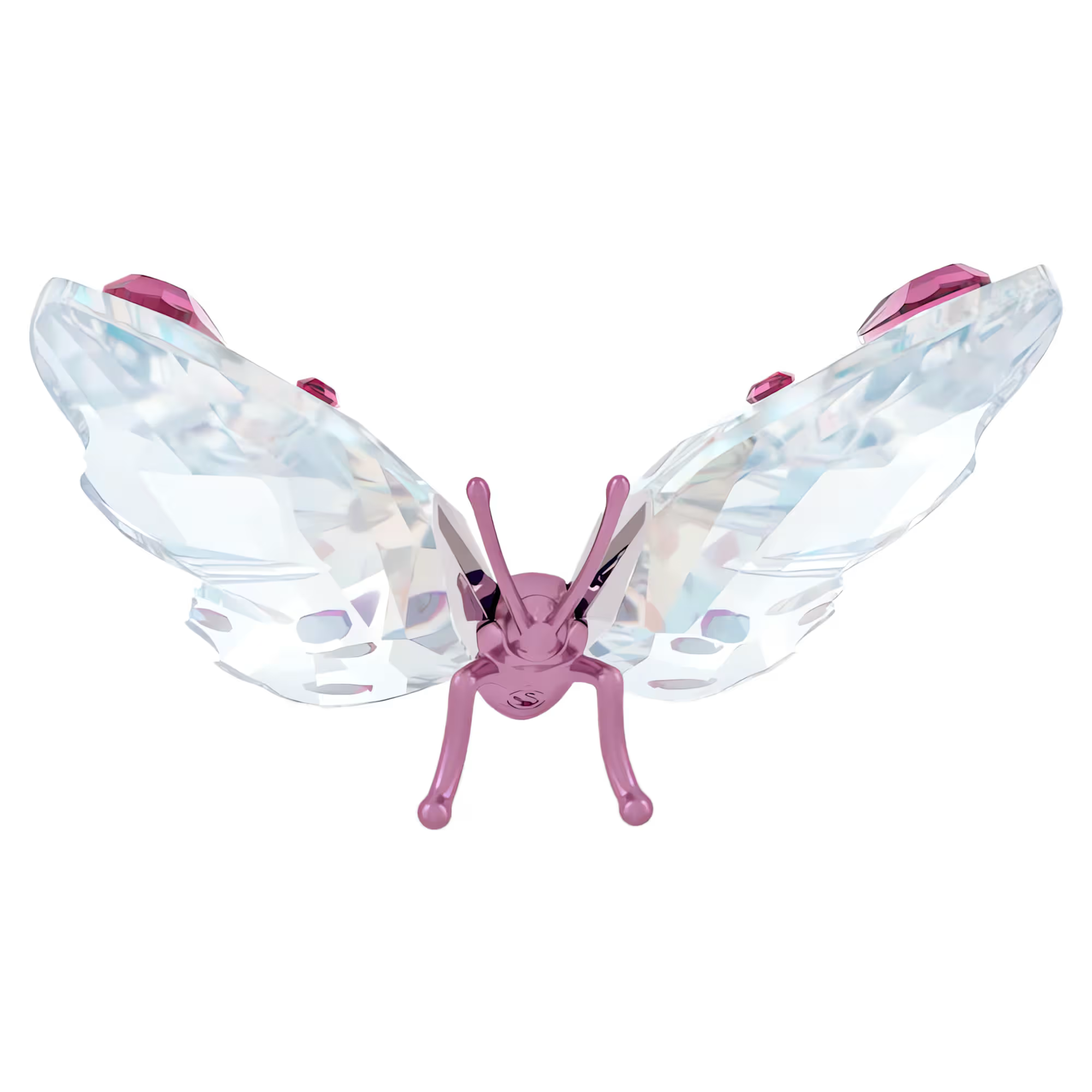 Idyllia Butterfly