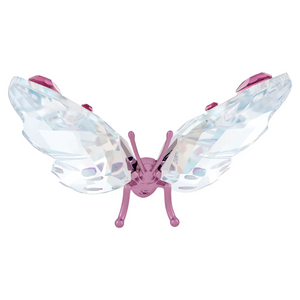 Idyllia Butterfly