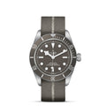 TUDOR Black Bay Fifty-Eight 925 watch front view with 39mm silver case, matte taupe dial and taupe fabric strap on white