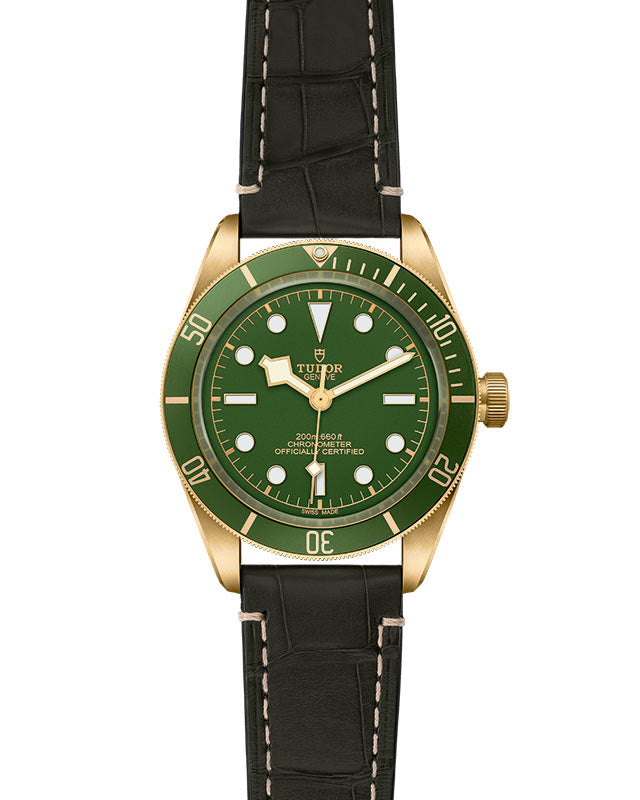TUDOR Black Bay 58 18K