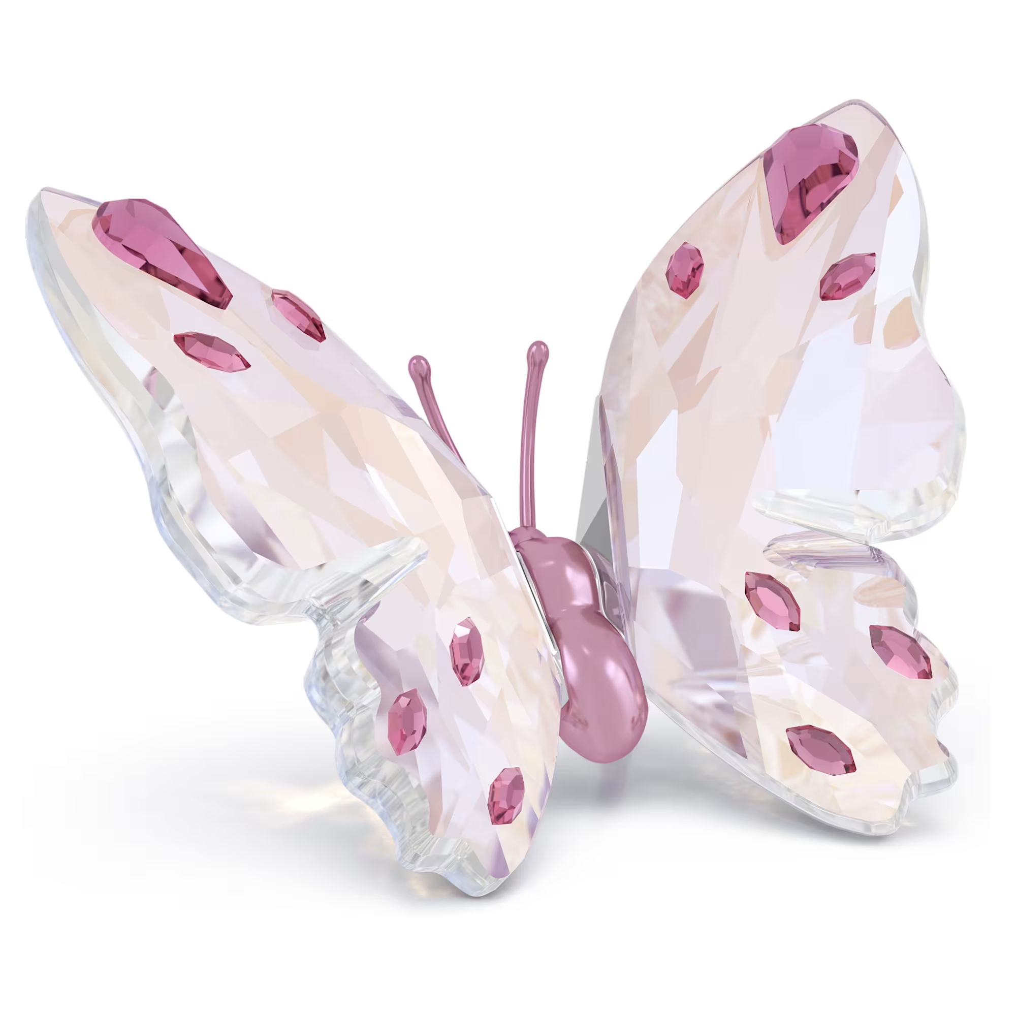 Idyllia Butterfly