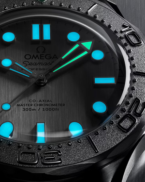 Seamaster Diver 300M 42MM