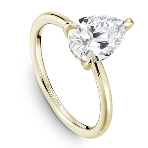 0.04ctw Hidden Halo Pear Shaped Engagement Ring