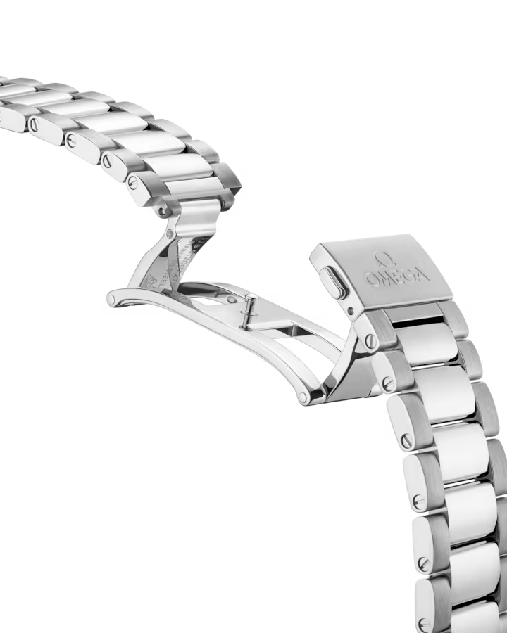 Seamaster Aqua Terra 150M 41 MM