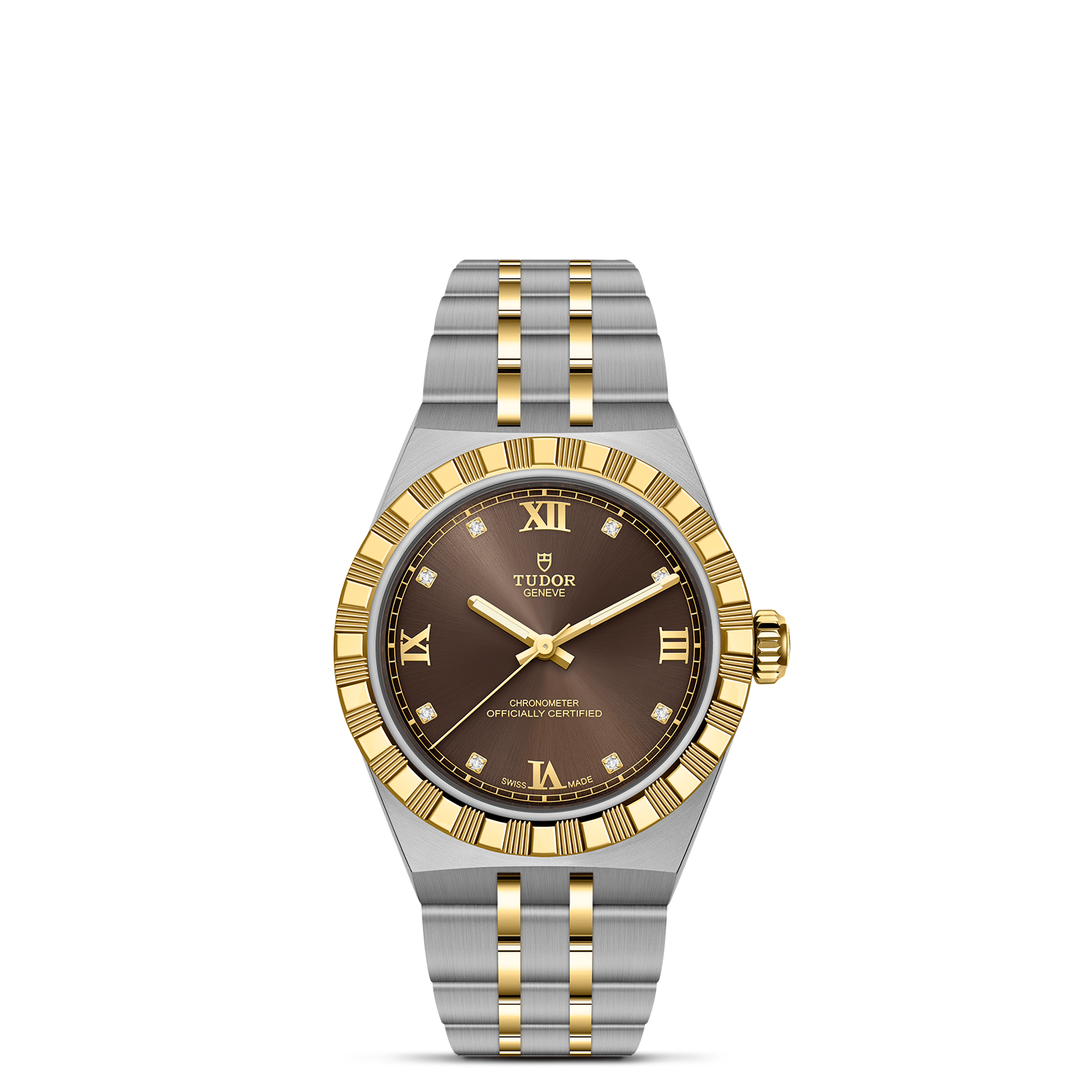 Tudor watch with brown dial and gold accents on a white background