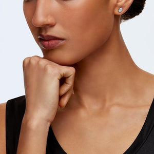 Attract Stud Earrings - Pear cut crystal - Gunderson's Jewelers