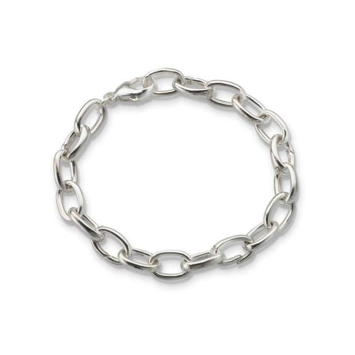 Charm Bracelet, Hinged Links - Gunderson's Jewelers