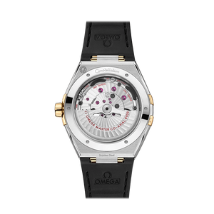Constellation Co-Axial Master Chronometer 41 MM