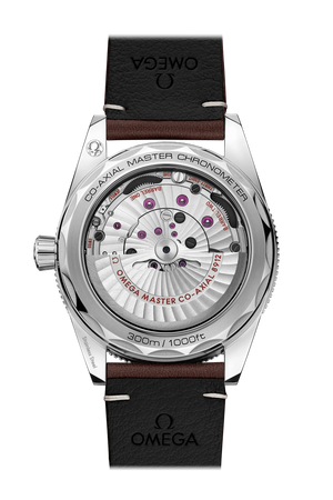 Seamaster 300 Co-Axial Master Chronometer 41MM