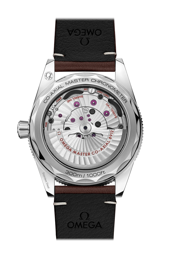 Seamaster 300 Co-Axial Master Chronometer 41MM