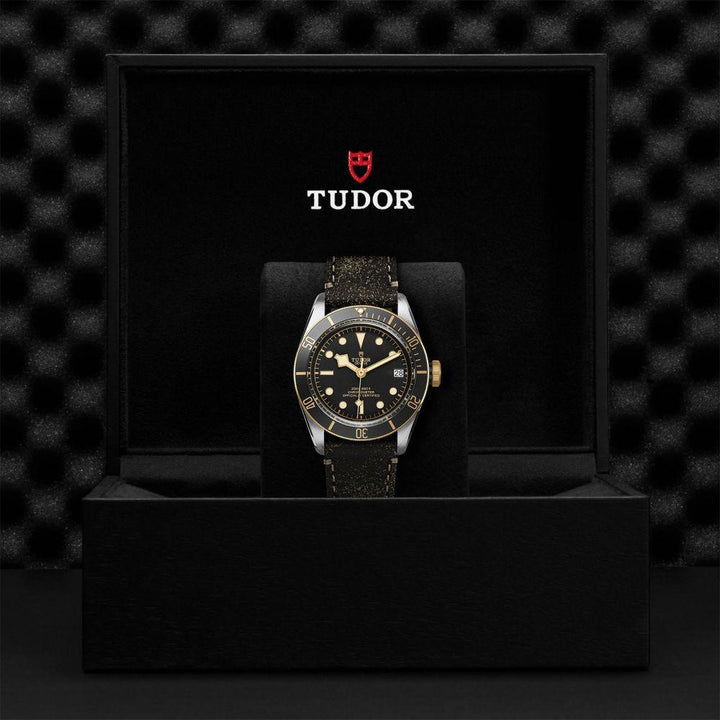 TUDOR Black Bay S&G 41mm Steel and Gold - Gunderson's Jewelers
