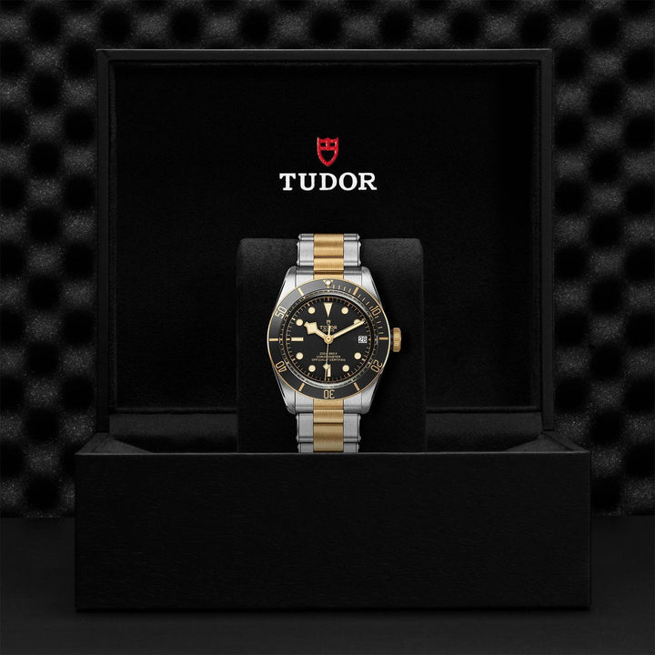 TUDOR Black Bay S&G 41mm Steel and Gold - Gunderson's Jewelers